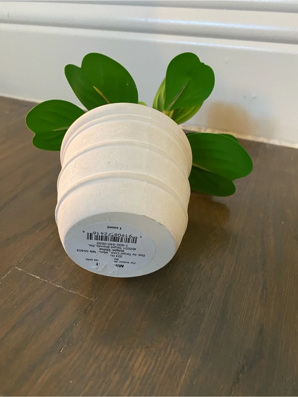 Target artificial peperomia